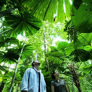 Nrma 4*, Cairns Australien